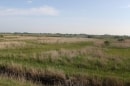 Noyelles: baie de Somme
